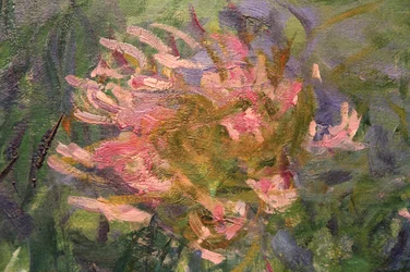 USA-Museum of Modern Art-Claude Monet